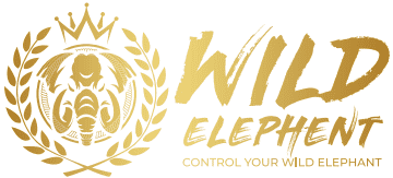 Wild Elephant